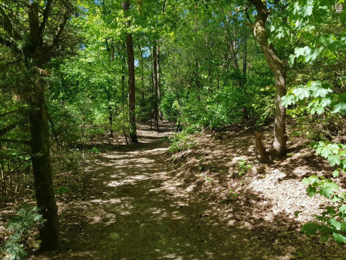 Bungalow Hartje Veluwe Оттерло Екстер'єр фото