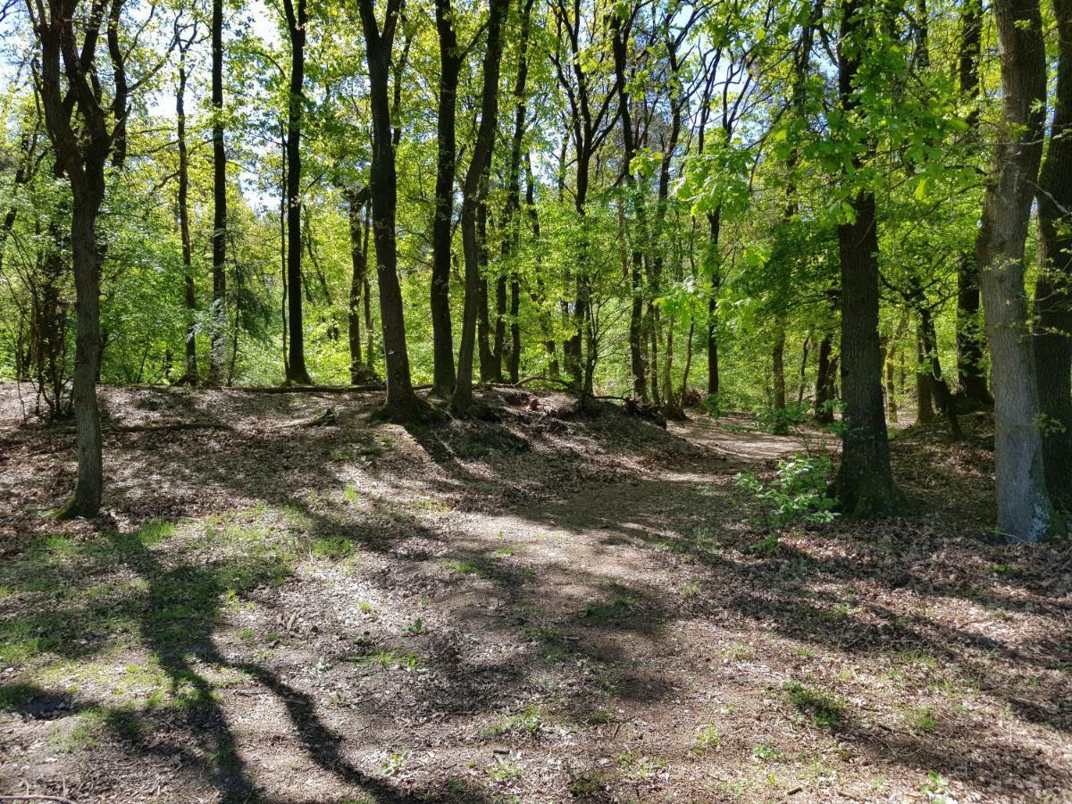 Bungalow Hartje Veluwe Оттерло Екстер'єр фото