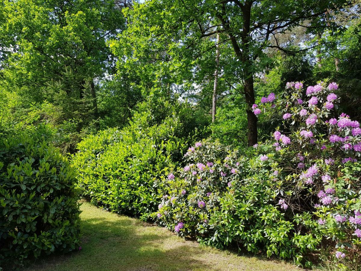 Bungalow Hartje Veluwe Оттерло Екстер'єр фото